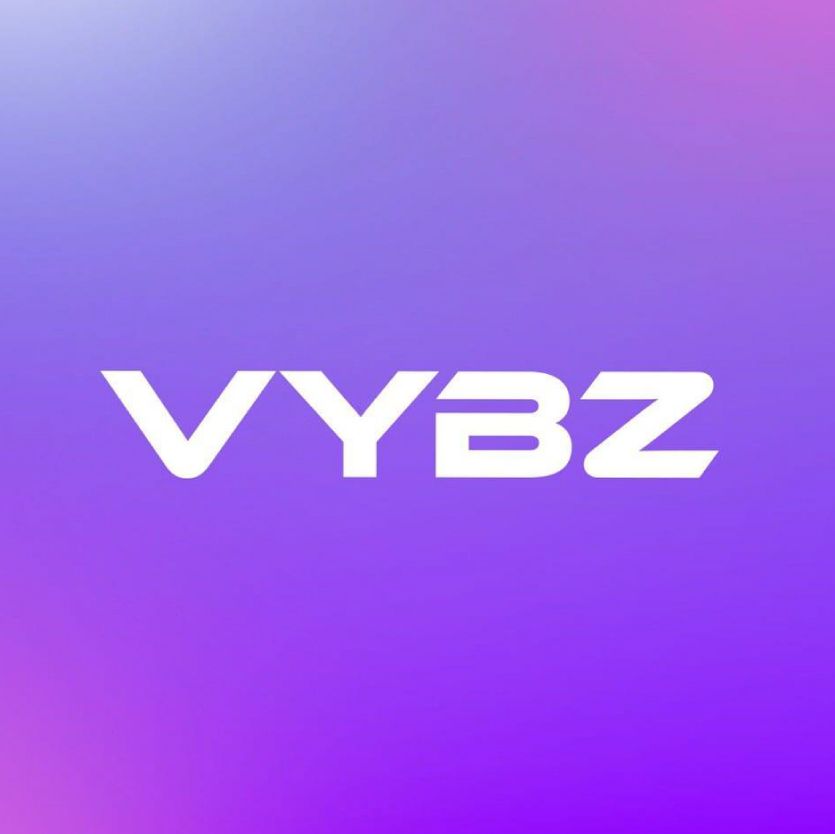 VYBZ Festival Thuishaven cover